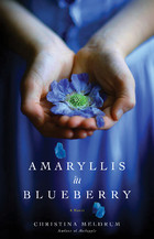 amaryllis in blueberry